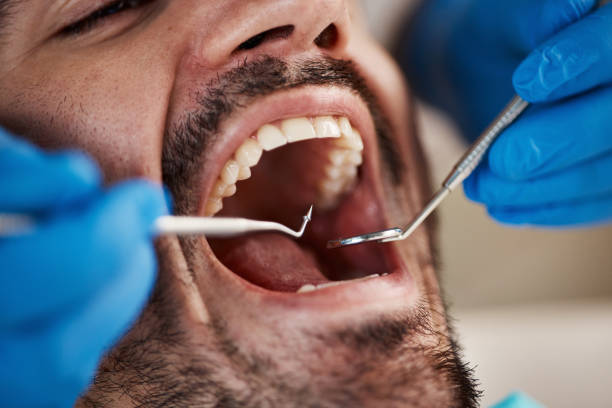Best Emergency Cosmetic Dentistry in Lford, MI